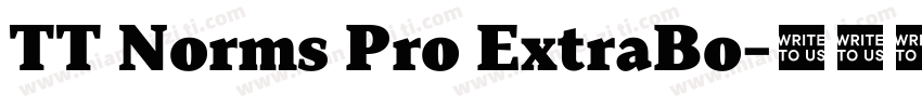 TT Norms Pro ExtraBo字体转换